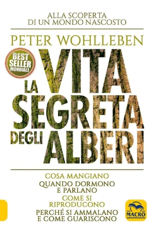 vita-segreta la vita segreta degli alberi